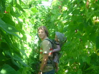 adrian walking isabella through the borlotti beans